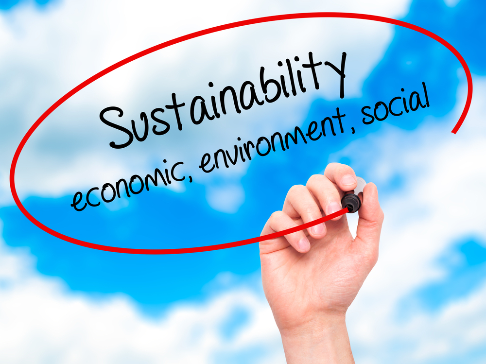 Sustainable procurement progress report