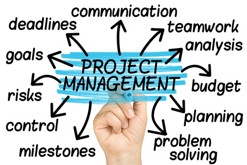 The new P5 standard for Project Managment