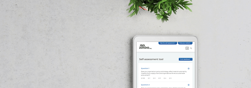 Self Assessment Tool – PDF version