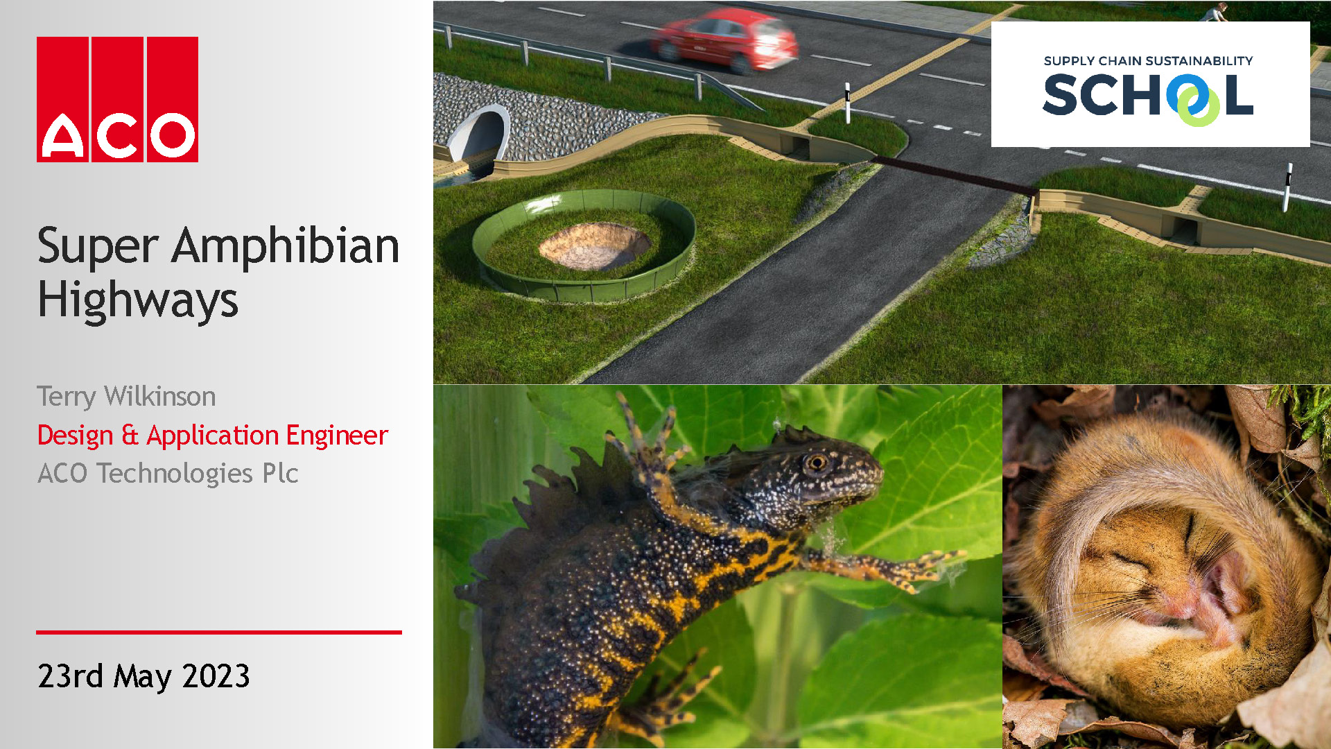 Super Amphibian Highways ….  Terry Wilkinson talks to Shaun McCarthy OBE about what can be done to avoid, mitigate or compensate for wildlife when planning any construction.