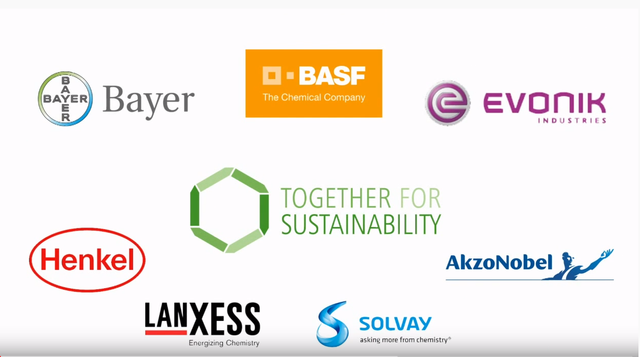 “Together for sustainability” (TfS): the chemical initiative for sustainable procurement